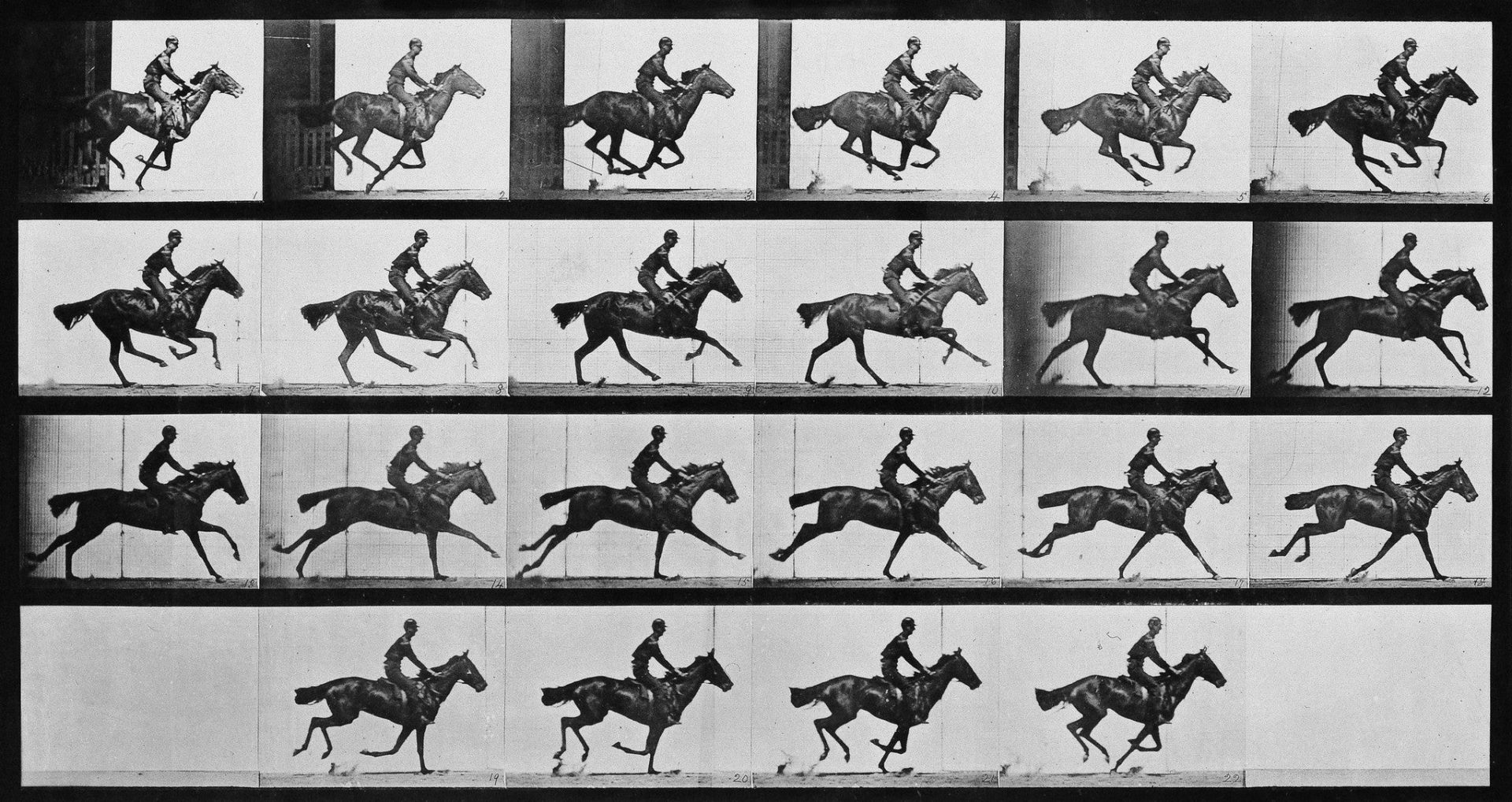 REF 01 - The Horse in Motion by Eadweard Muybridge, 1878