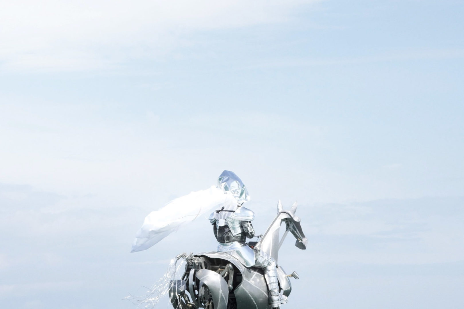 cheval IMG 12 ©Atelier blam